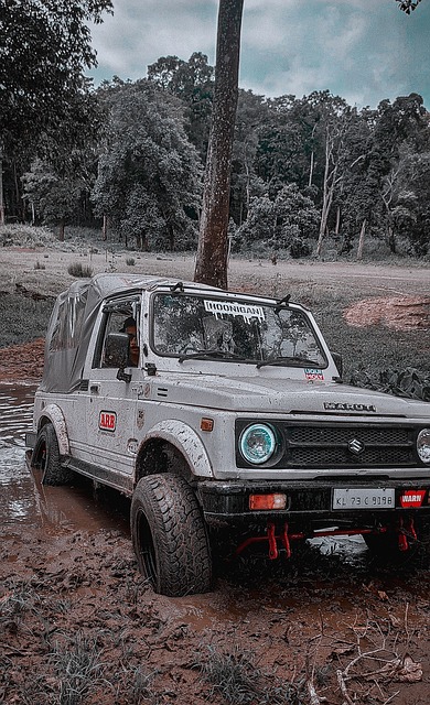 用實際行動 用實際行動