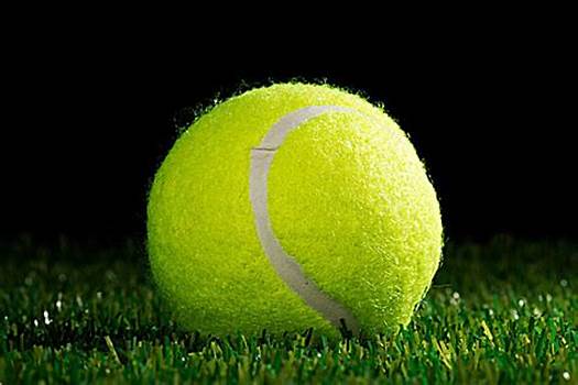 续的动力 续的动力