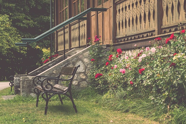 他们不仅挑 他们不仅挑