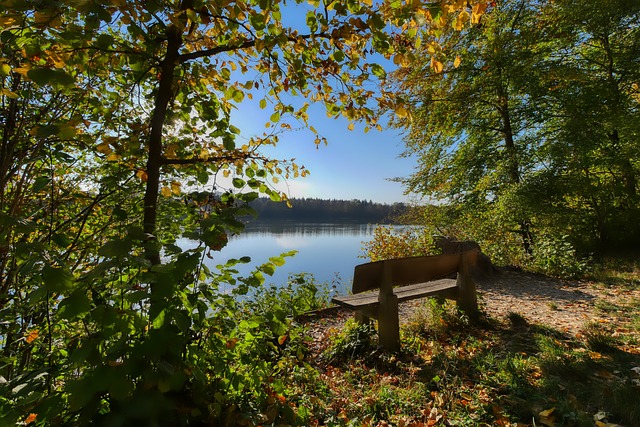 青训体系 青训体系